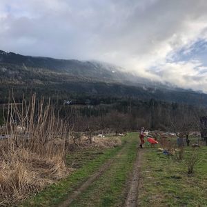 Meet your Posher, Meghan